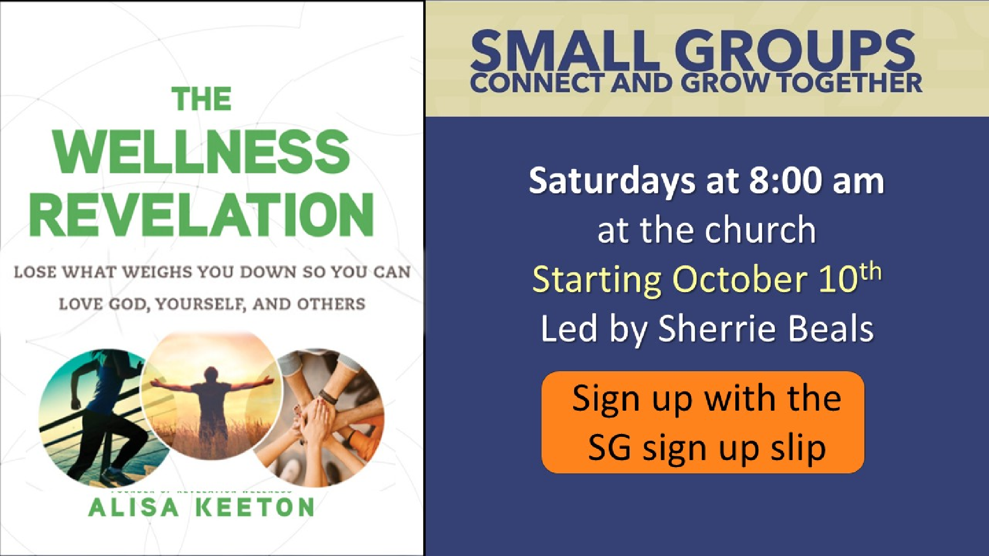 The Wellness Revelation Small Group